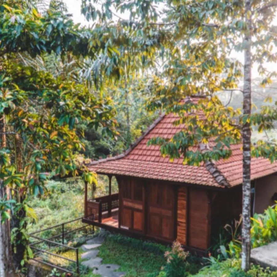 The Jungle Villa Ubud