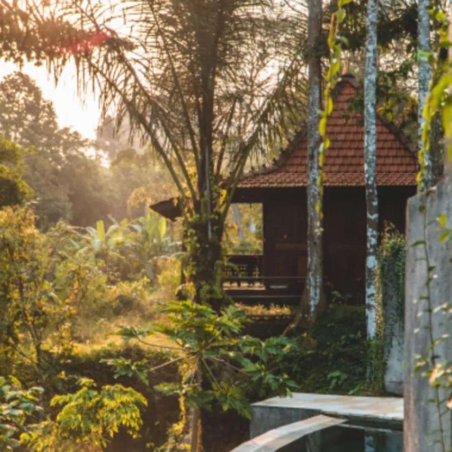 The Jungle Villa Ubud