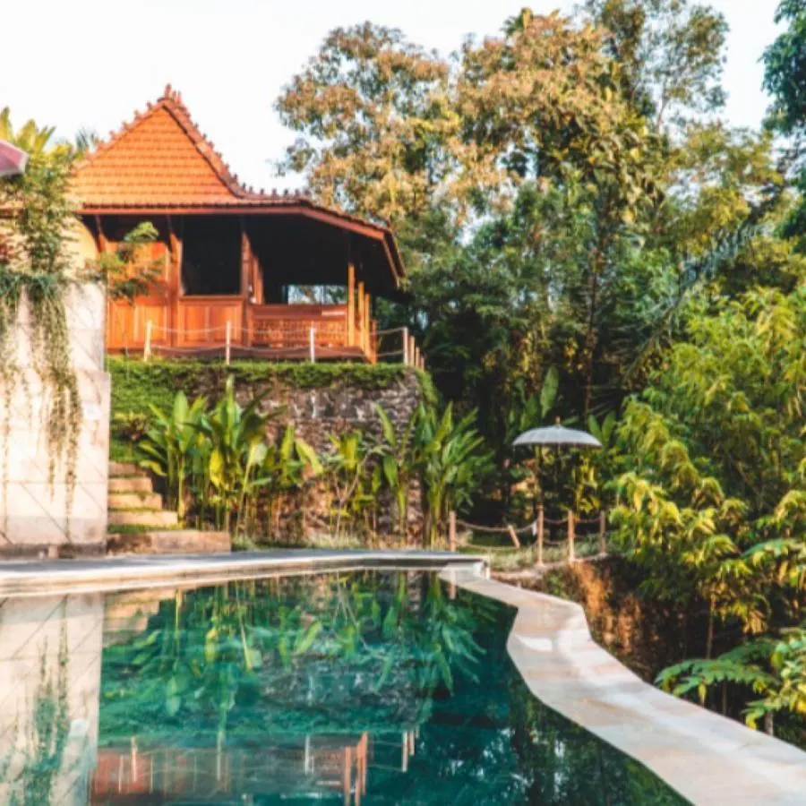 The Jungle Villa Ubud 0*,