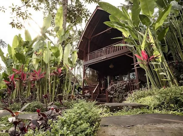 The Jungle Villa Ubud