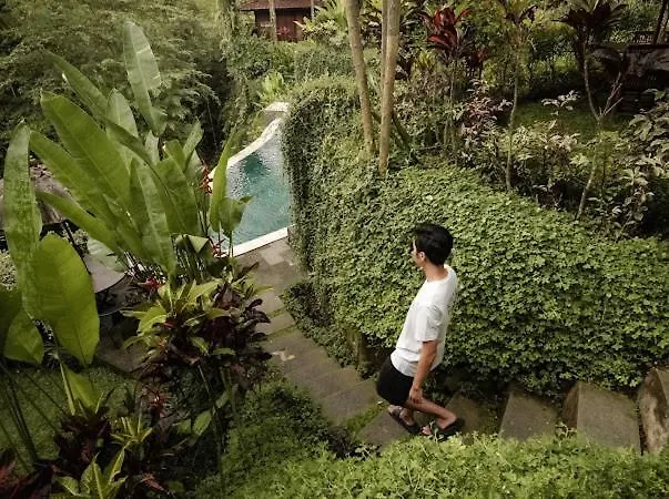 The Jungle Villa Ubud