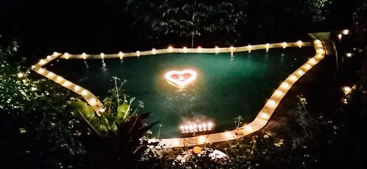 The Jungle Villa Ubud