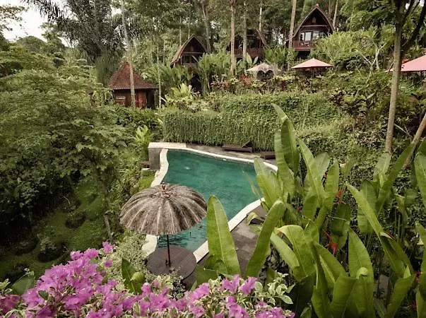 The Jungle Villa Ubud