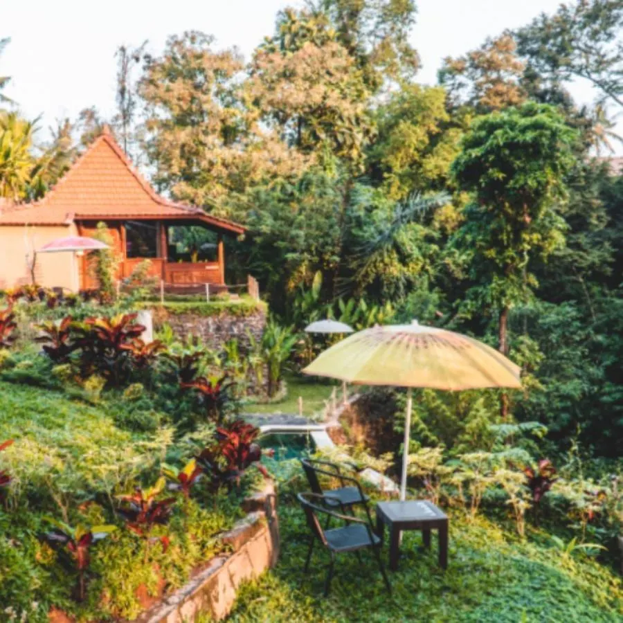 The Jungle Villa Ubud