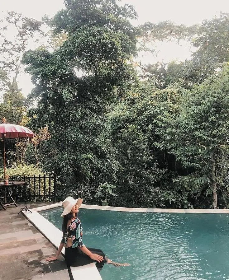 The Jungle Villa Ubud   Ubud (Bali)