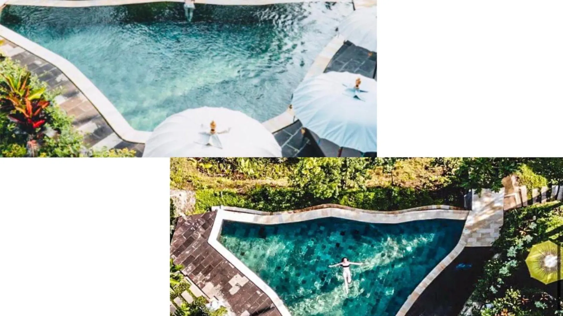 The Jungle Villa Ubud