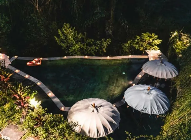 The Jungle Villa Ubud  0*, Ubud (Bali) Indonesia