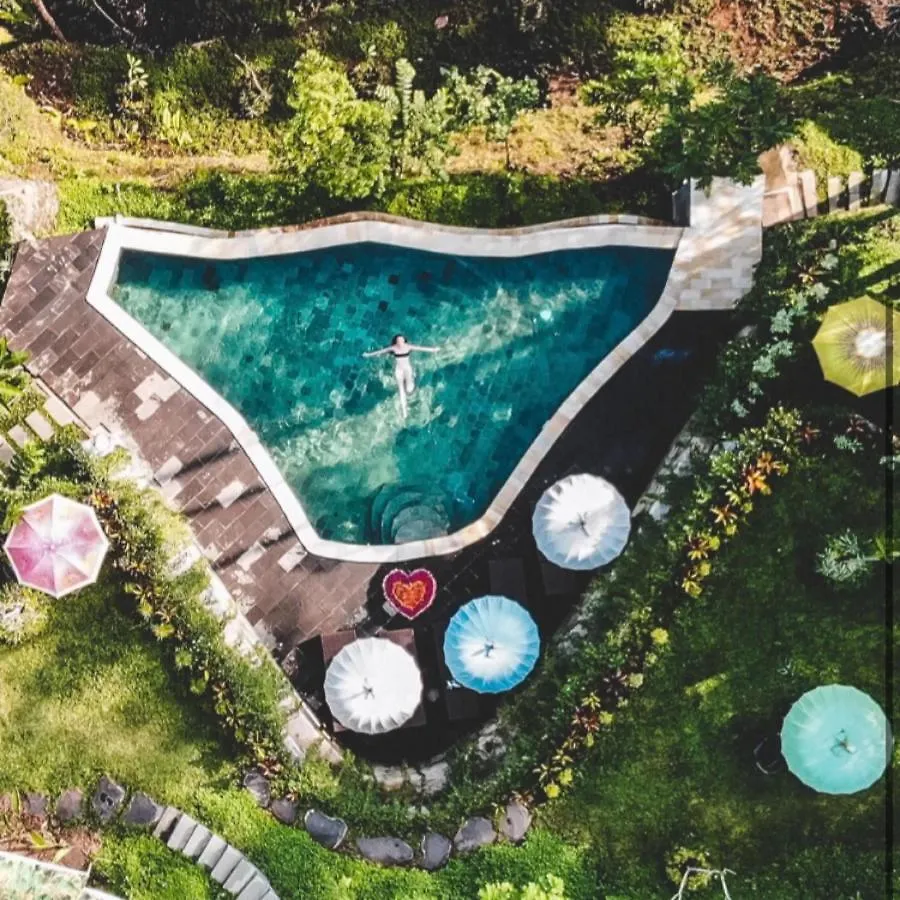 The Jungle Villa Ubud